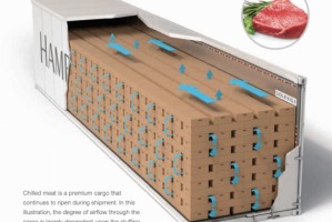 Reefer : qu'est-ce qu'un conteneur frigorifique ?